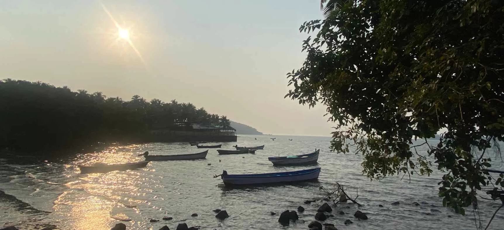 Cover Image of Soumya Bhandari